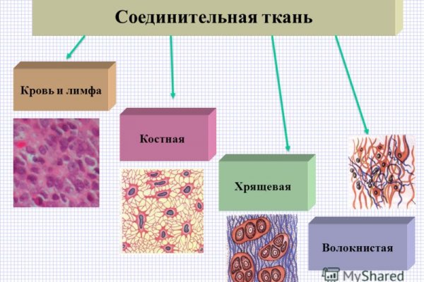 Зеркала сайта кракен