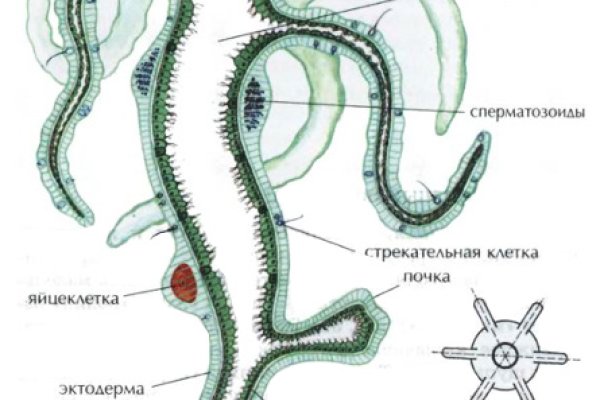 Megaruzxpnew4af union ссылка на сайт mega