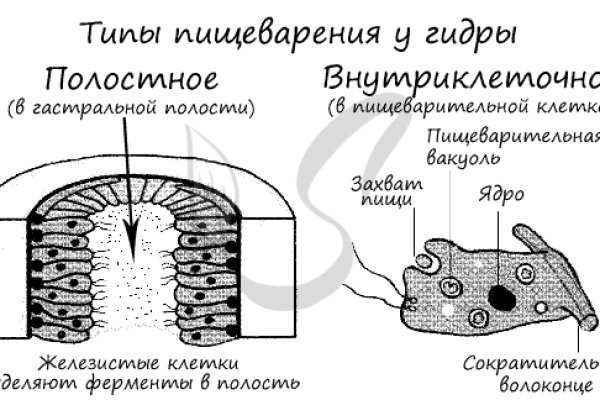 Зайти в кракен