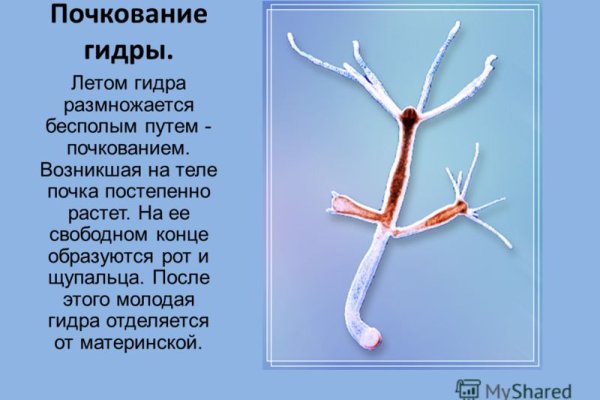 Как пополнить биткоины в меге